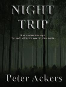      Night Trip