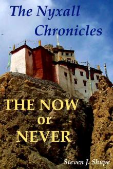      The Nyxall Chronicles:  The Now or Never