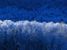      The Total December Experiment