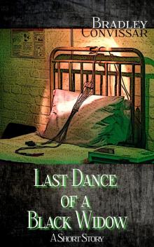      Last Dance of a Black Widow