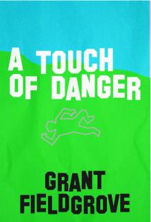      A Touch of Danger (Archie Lemons #2)