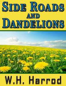      Side Roads and Dandelions
