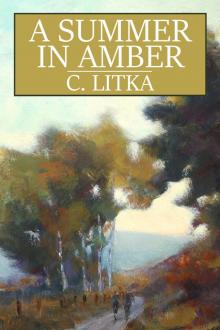      A Summer in Amber