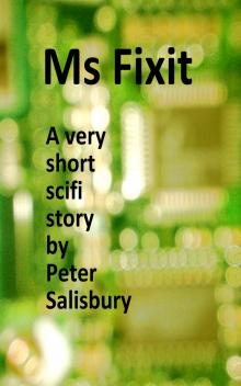      Ms Fixit