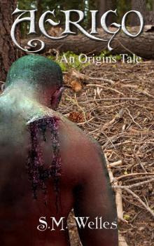      Aerigo: An Origins Tale