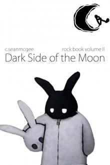      Dark Side of the Moon