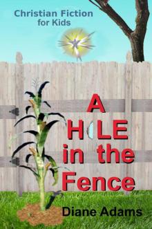      A Hole in the Fence - Christian Fiction for Kids