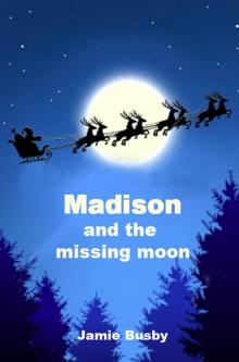      Madison and the Missing Moon