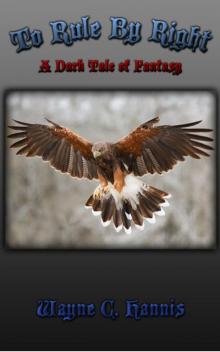      To Rule by Right: A Dark Tale of Fantasy- 2nd edition