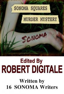      Sonoma Squares Murder Mystery