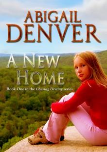      A New Home:  Book One in the Chasing Destiny Series