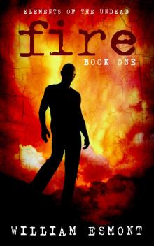      Fire: The Collapse
