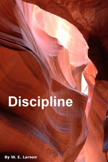      Discipline