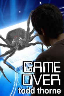      Game Over