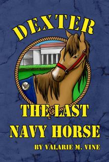     Dexter, the Last Navy Horse