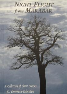      The Beekeeper - from the collection: 'Night Flight from Marabar'