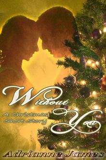      Without You- A Christmas short story