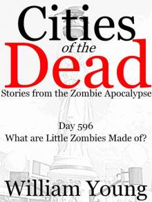      What are Little Zombies Made of? (Cities of the Dead)