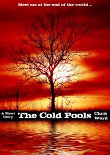      The Cold Pools