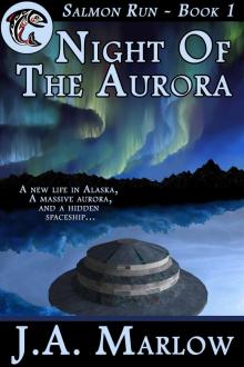     Night of the Aurora (Salmon Run - Book 1)