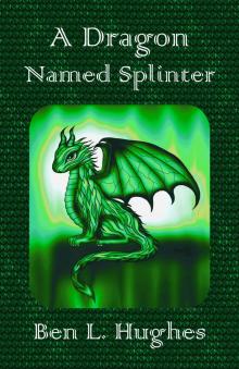      A Dragon Named Splinter  (Dragon Adventure Series 1: Book 1)