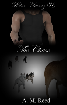      The Chase