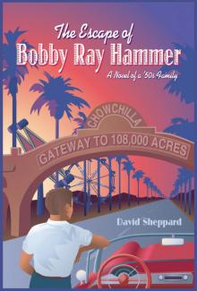      The Escape of Bobby Ray Hammer, A Novel of a '50s Family
