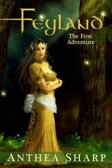      Feyland: The First Adventure
