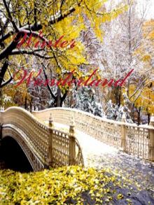      Winter Wonderland