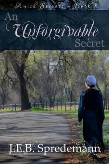      An Unforgivable Secret (Amish Secrets - Book 1)