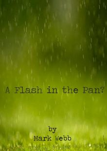      A Flash in the Pan?