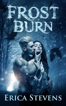      Frost Burn (The Fire and Ice Series, Book 1)