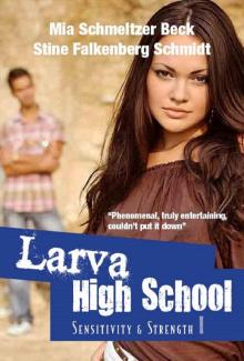      Sensitivity & Strength, Larva High School 1
