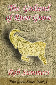      The Godsend of River Grove