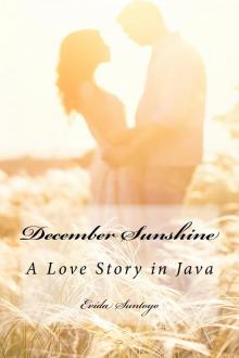      December Sunshine