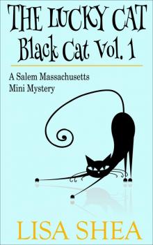      The Lucky Cat - Black Cat Vol. 1 - A Salem Massachusetts Mini Mystery