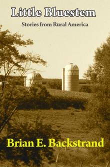      Little Bluestem: Stories from Rural America