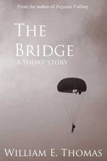      The Bridge: A short story