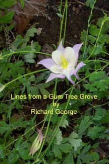      Lines from a Gum Tree Grove