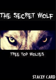      The Secret Wolf (Book One in the Tree Top Wolves Series)