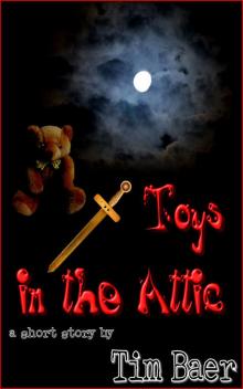      Toys in the Attic