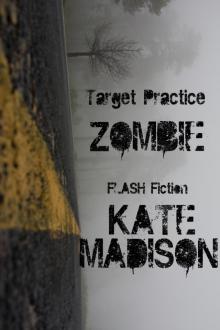      Target Practice (Zombie Flash Fiction)