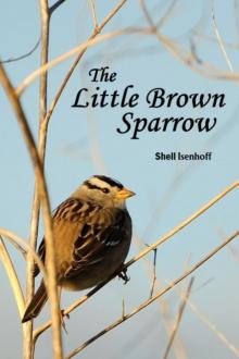      The Little Brown Sparrow