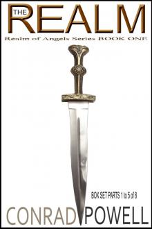      The Realm: Box Set - Parts 1 to 5 (Realm of Angels Series, Book One)