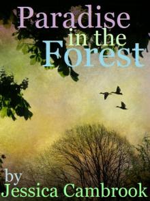      Paradise in the Forest