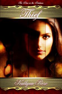      Thief: The Dove in the Darkness