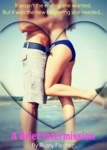      A Brief Intermission: A Romantic 4th of July Story