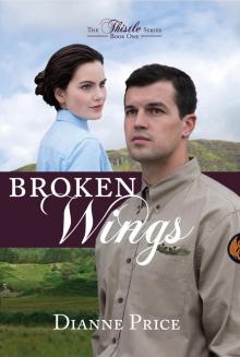      Broken Wings