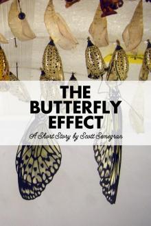      The Butterfly Effect