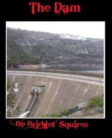      The Dam
